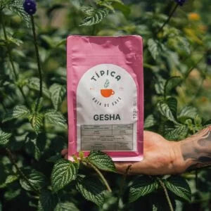 Café Gesha Clara 250Gr