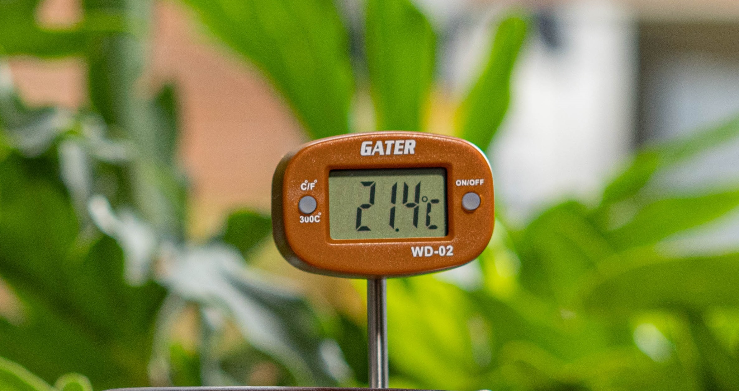 Termómetro Digital GATER