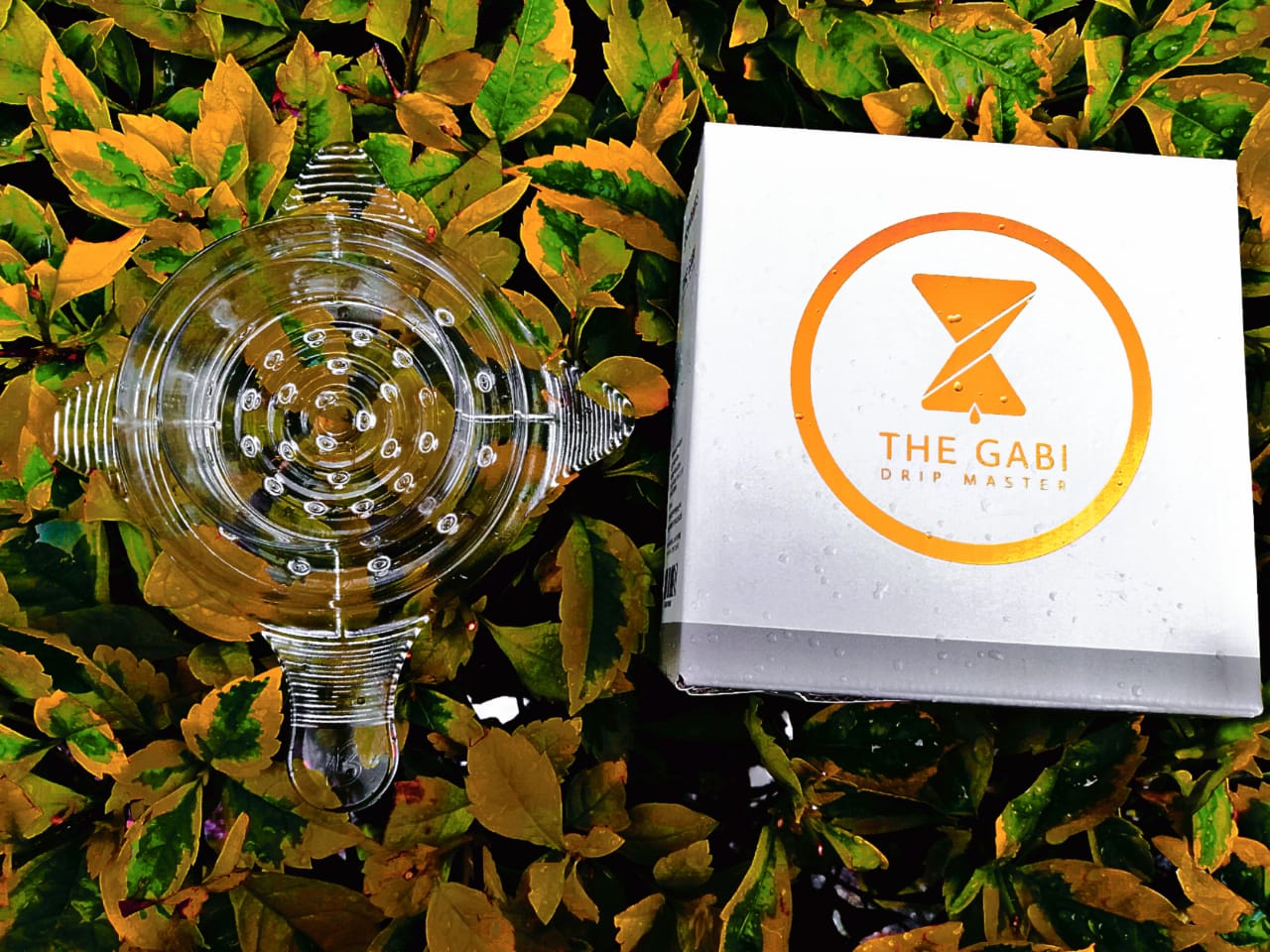 The Gabi B - Drip Master - Image 2