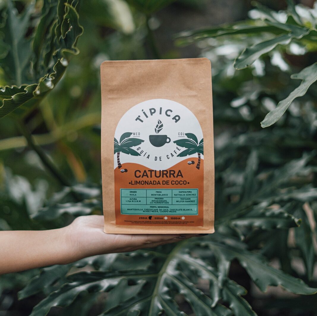 Café Caturra Limonada de Coco