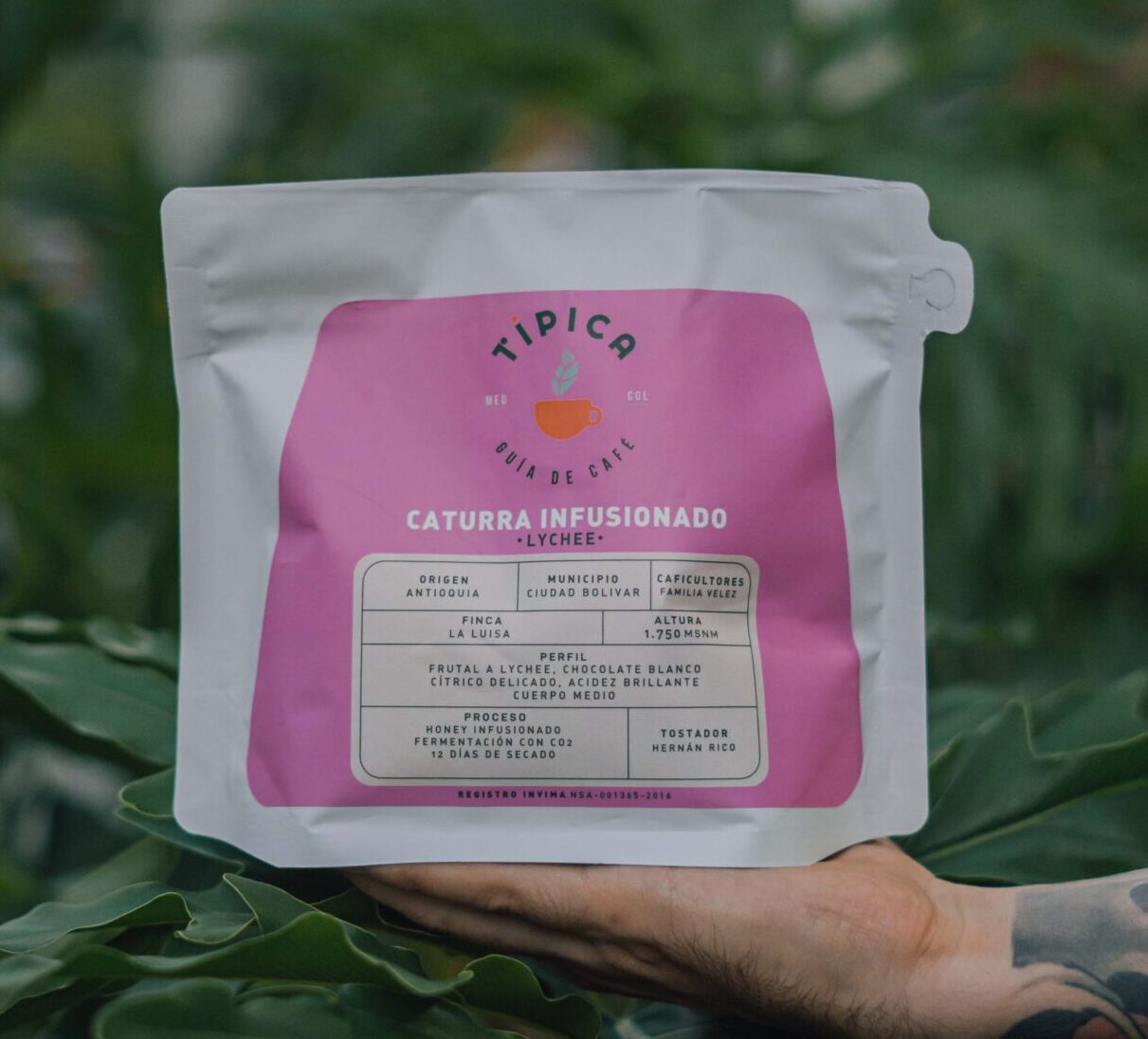 Caturra Lychee