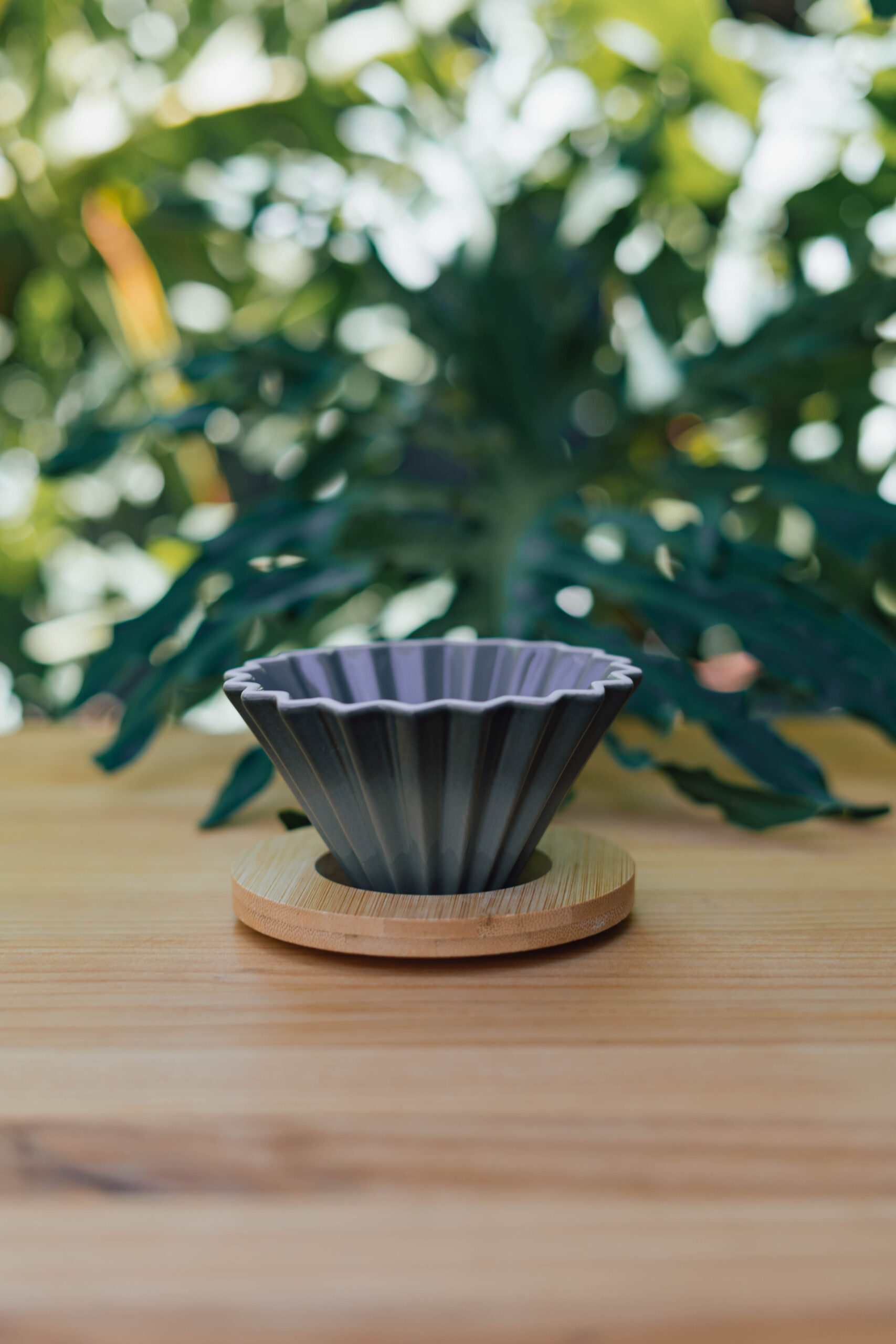 Dripper tipo origami n1