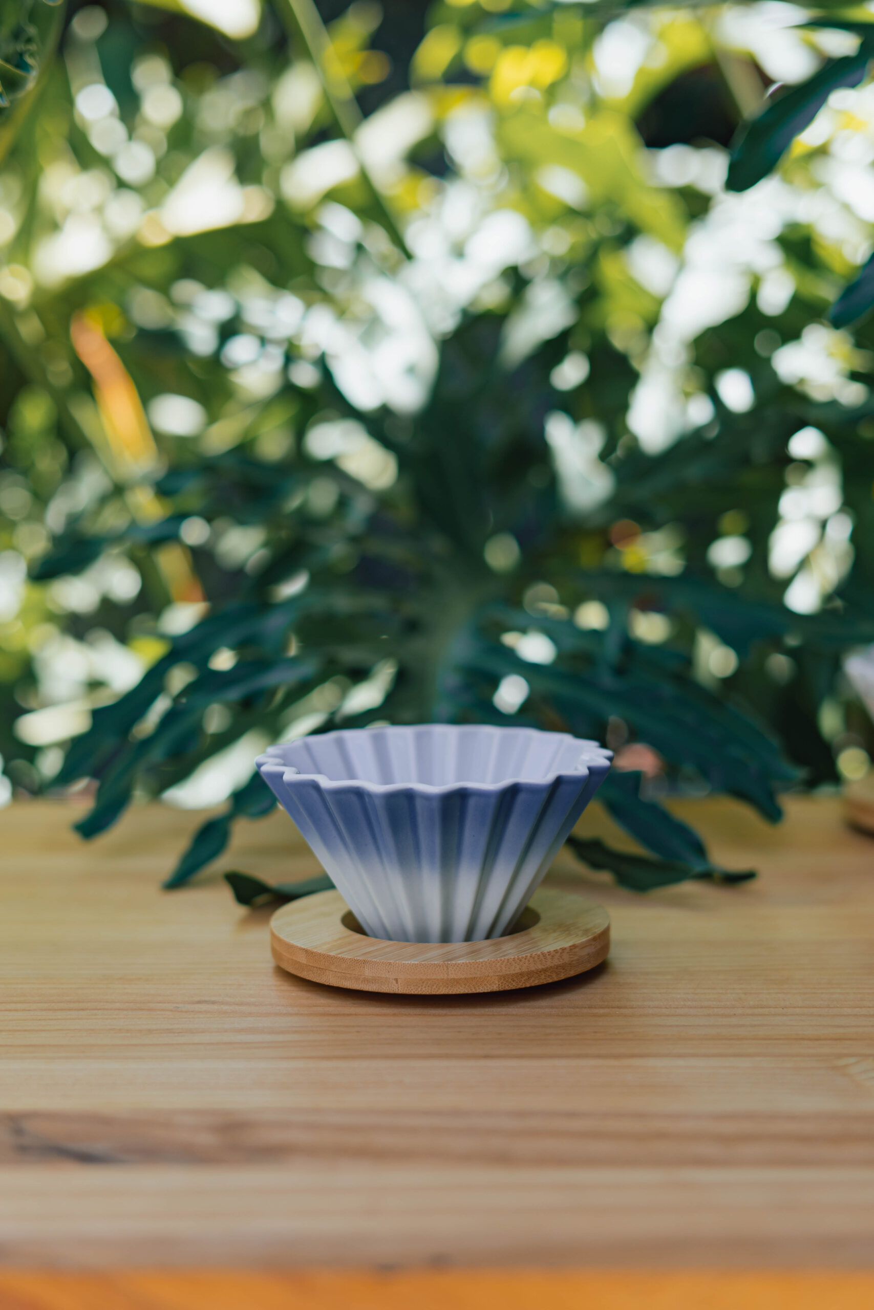 Dripper tipo origami n1