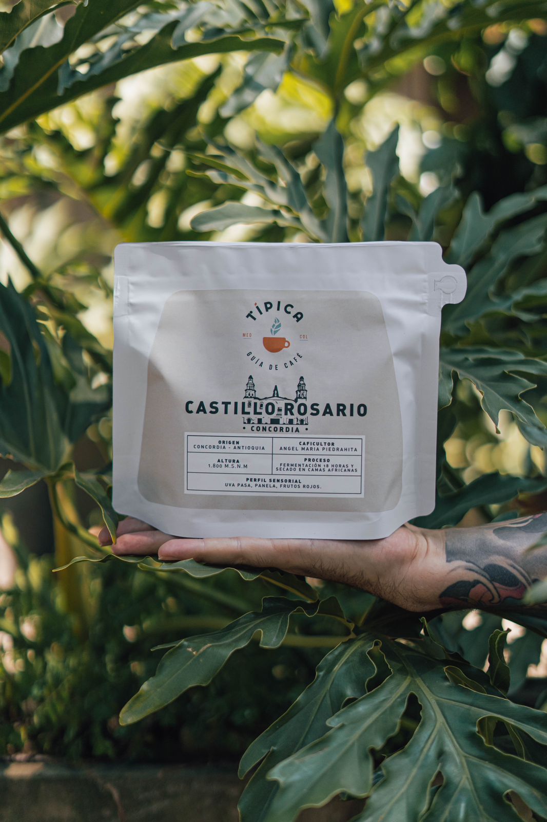 Café Castillo Rosario 250GR