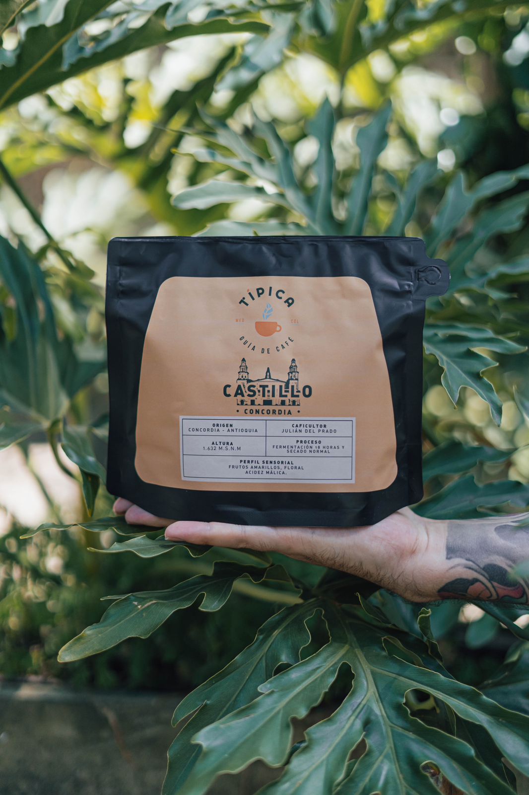 Café Castillo 250GR