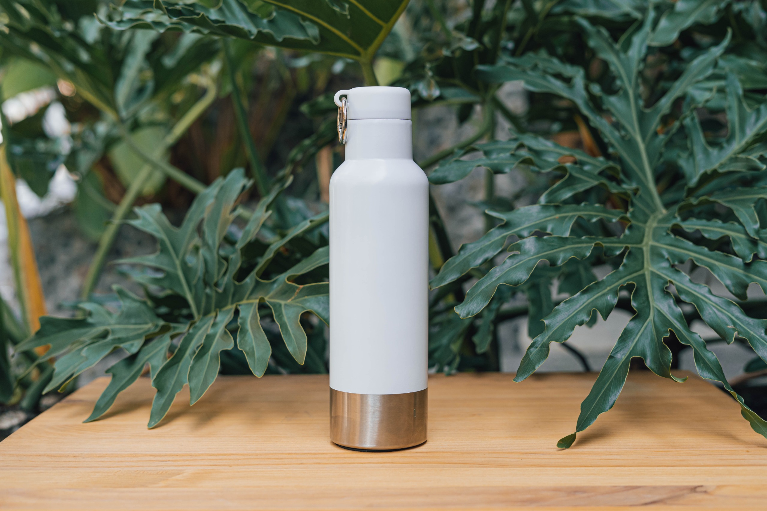 termo sport 500ml blanco