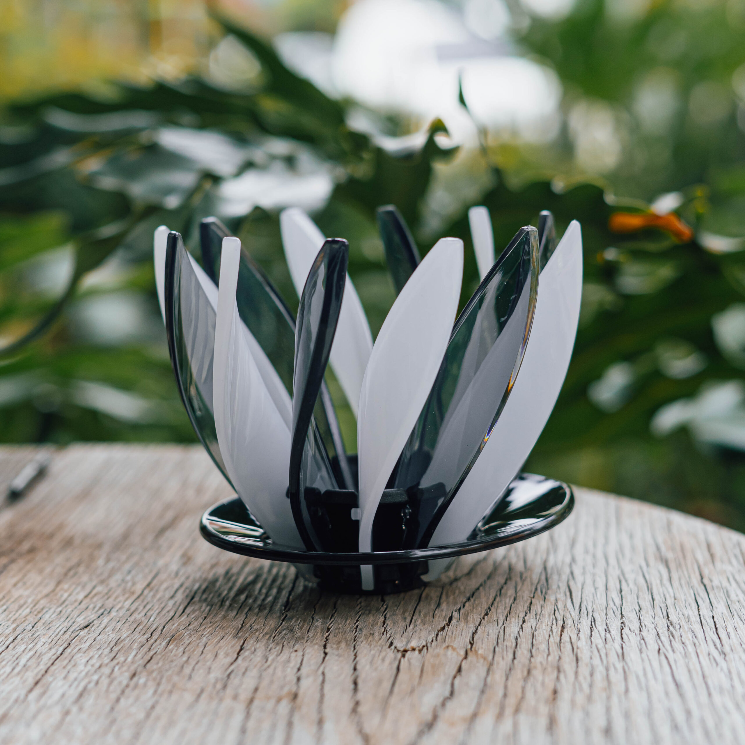 Dripper v60 tipo Hario Suiren