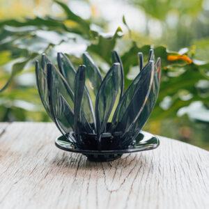 Dripper v60 tipo Hario Suiren