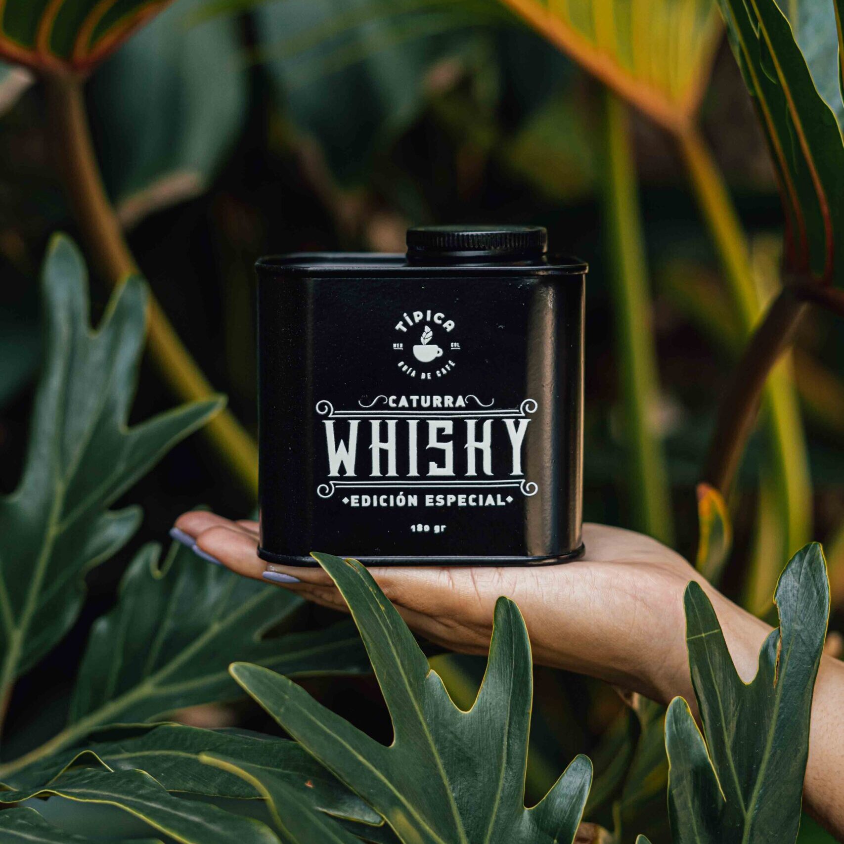 Caturra Whisky Edición Especial Día del padre