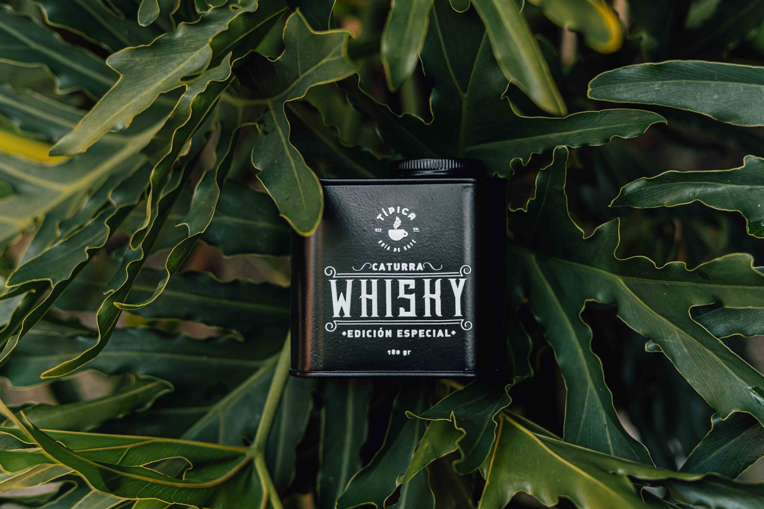 Caturra Whisky Edición Especial Día del Padre - Image 3