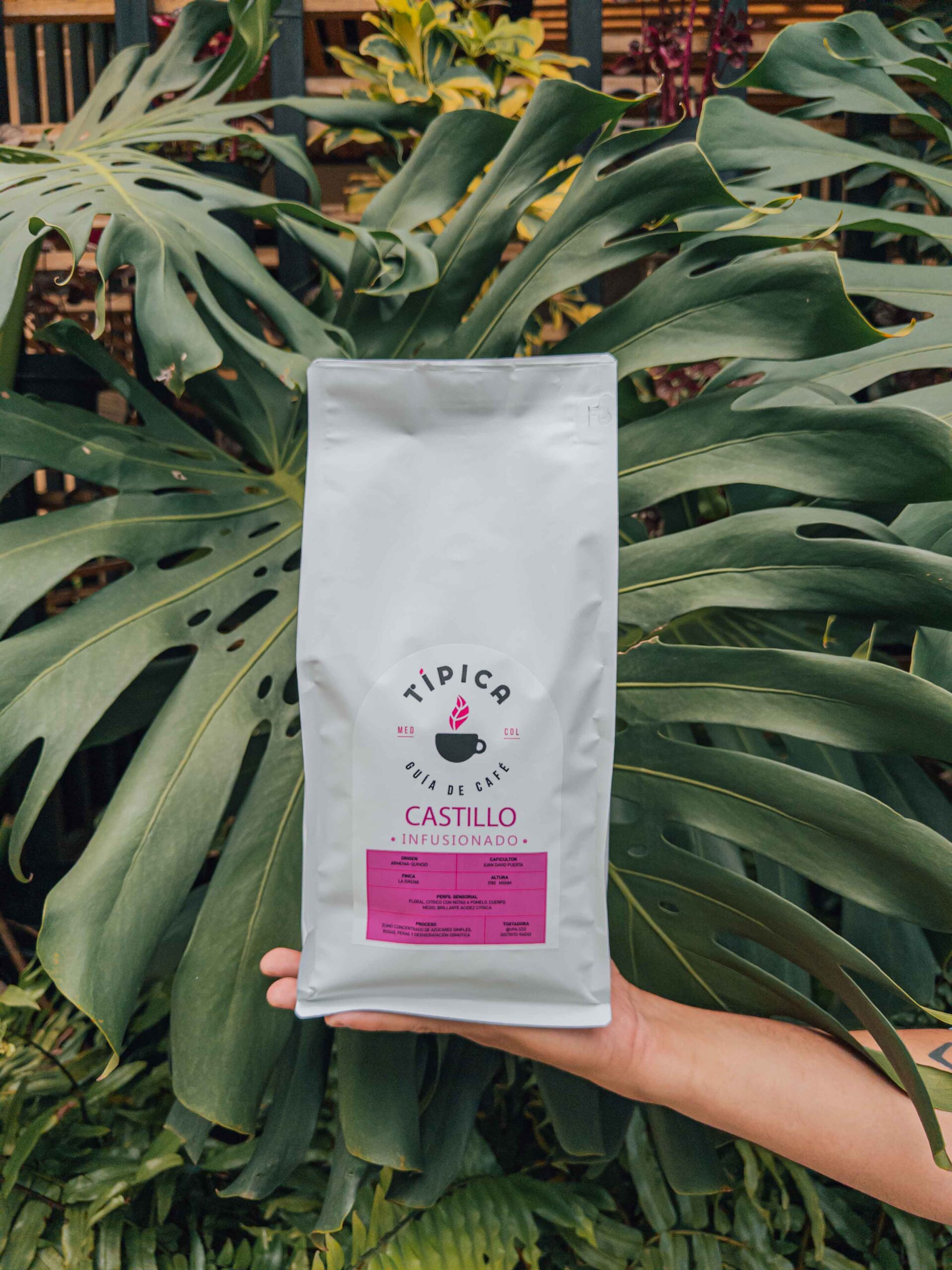 Castillo infusionado 1 kilo