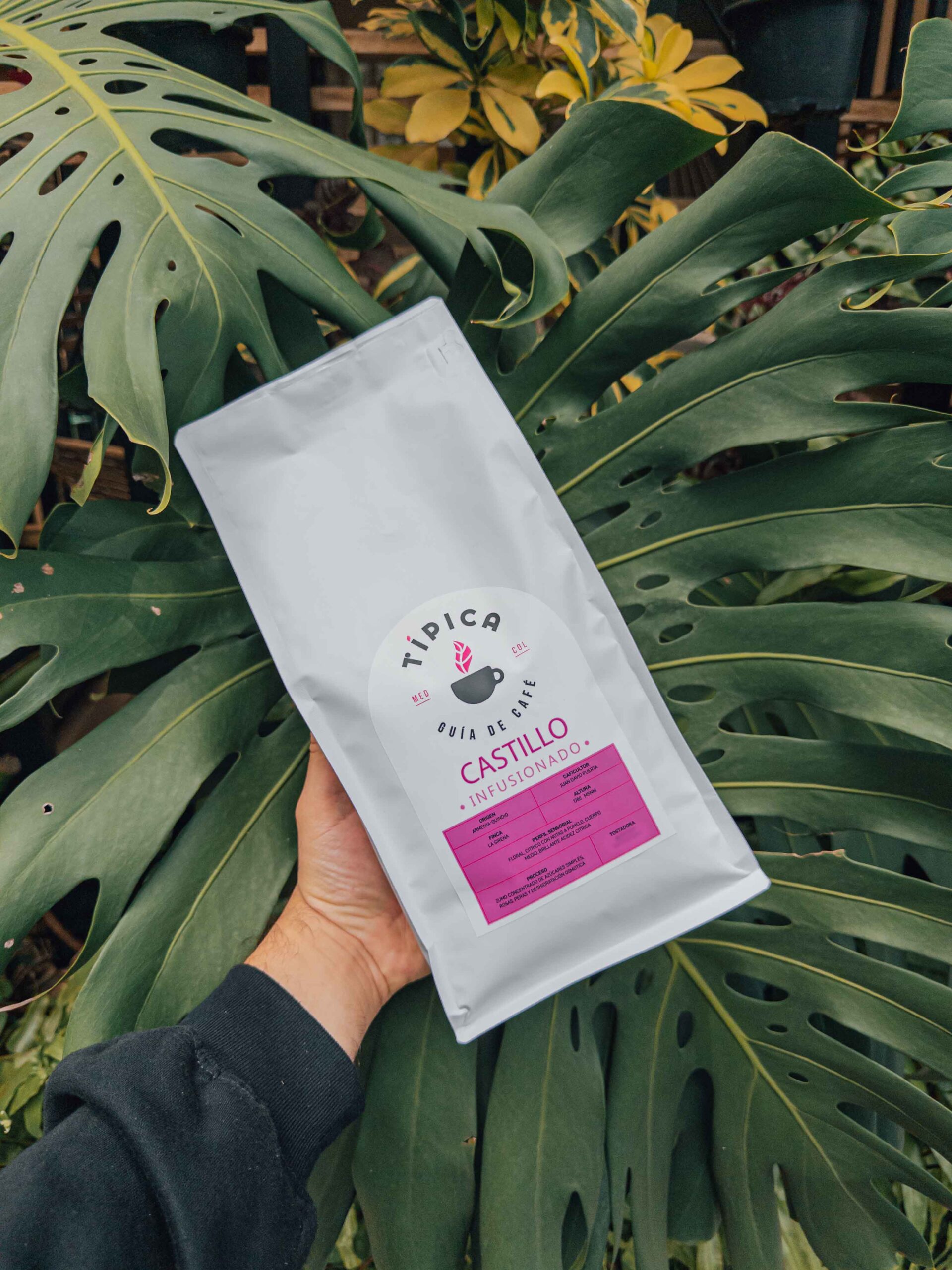 Castillo infusionado 1 kilo