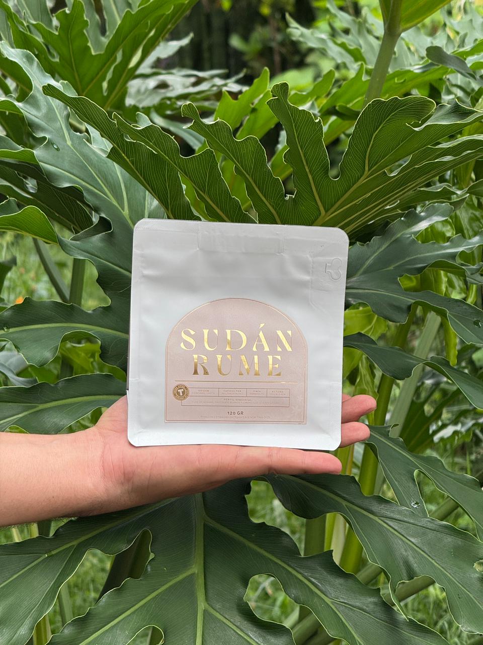 Café Sudán Rume