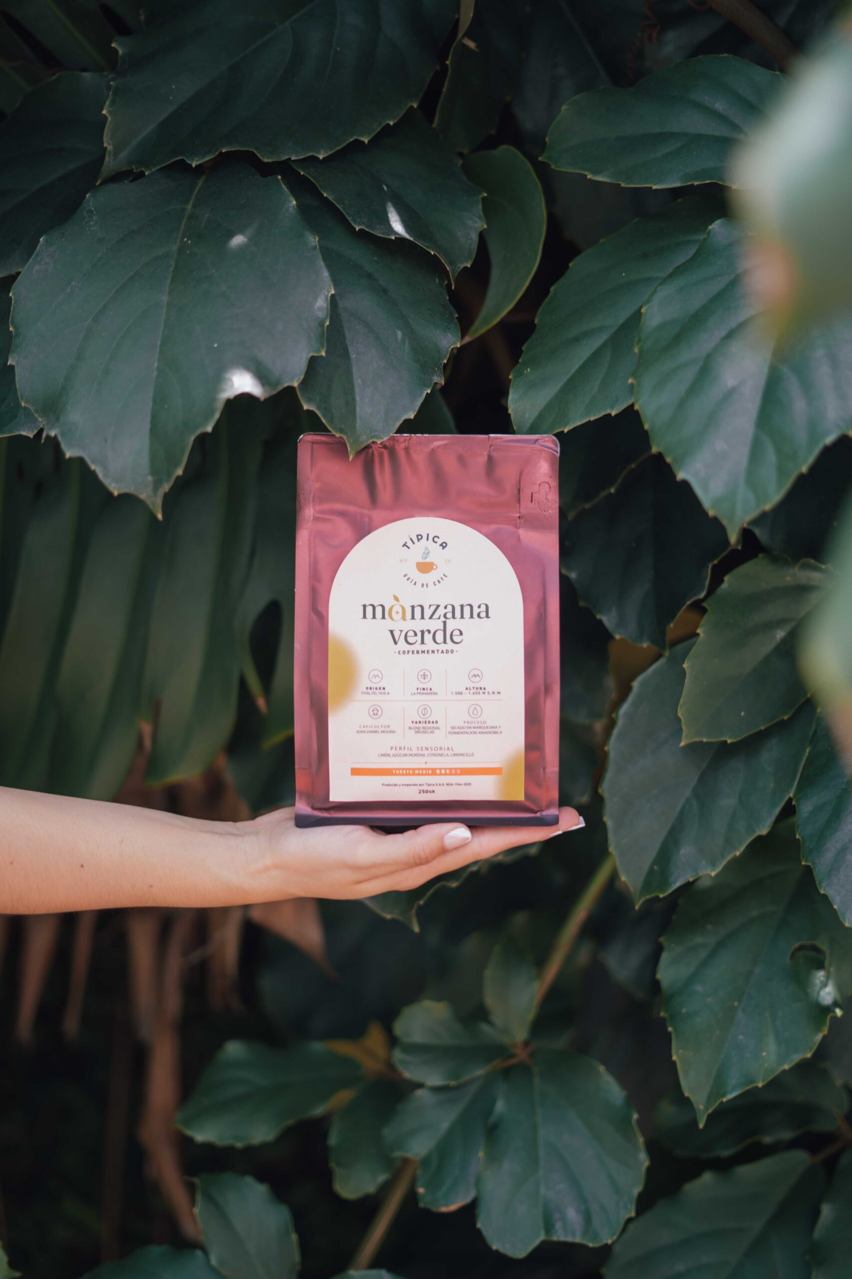 Café Manzana Verde co-fermentado