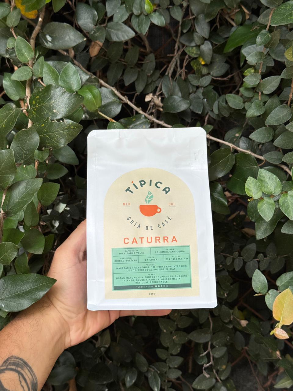 Café Caturra Maceración Carbónica 250g