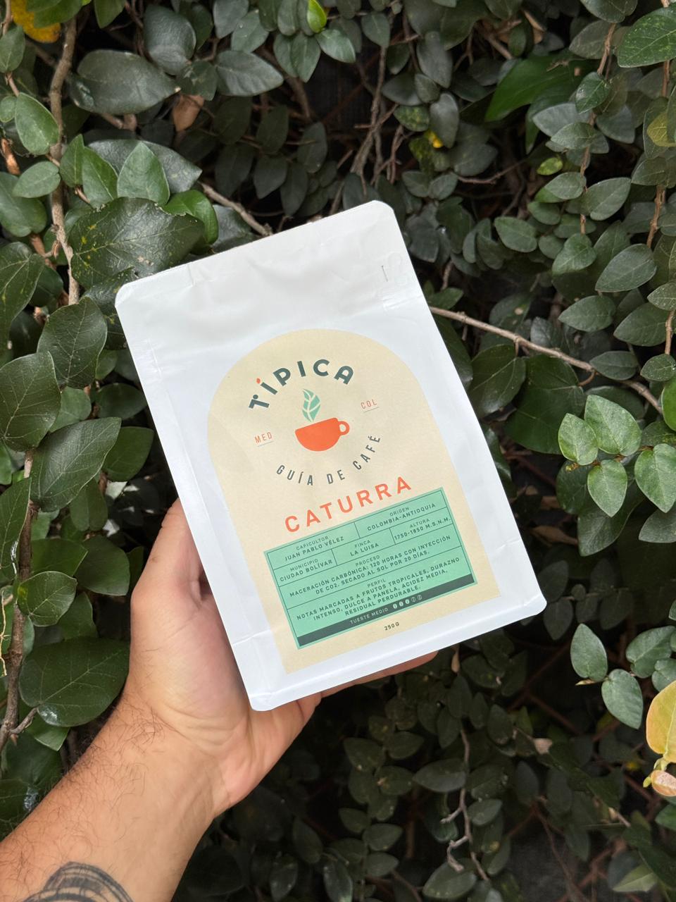 Café Caturra Maceración Carbónica 250g