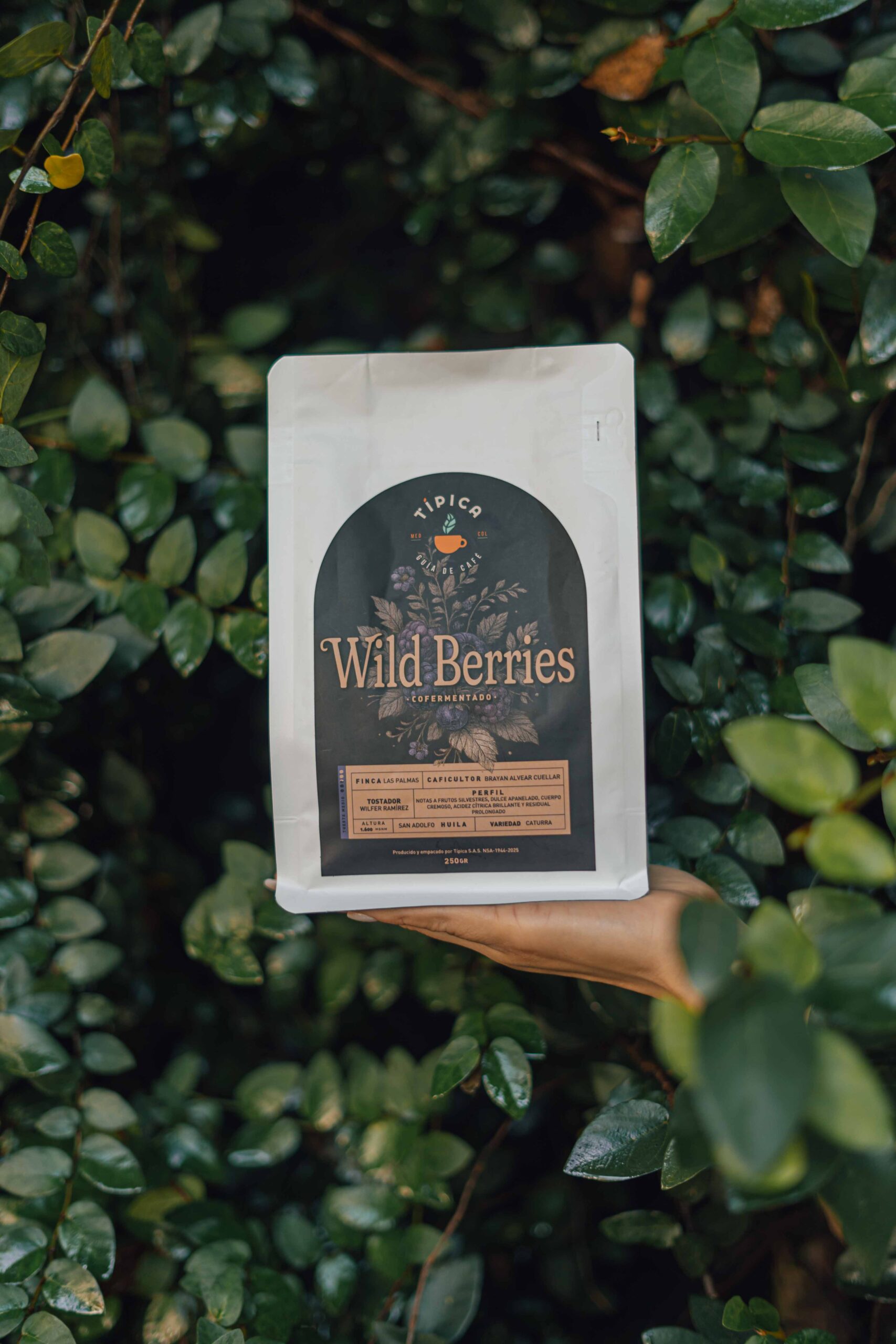 Producto: Café Wild Berries Co-fermentado Origen: San Adolfo, Huila Finca: Las Palmas Caficultor: Brayan Alvear Cuéllar Altura: 1.600 m s.n.m. Variedad: Caturra Proceso: Co-fermentado Perfil sensorial: Frutos silvestres, dulce apanelado, cuerpo cremoso, acidez cítrica brillante y residual prolongado Tostador: Wilfer Ramírez Tueste: Medio Presentación: 250 g